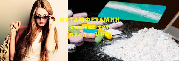 шишки Новодвинск